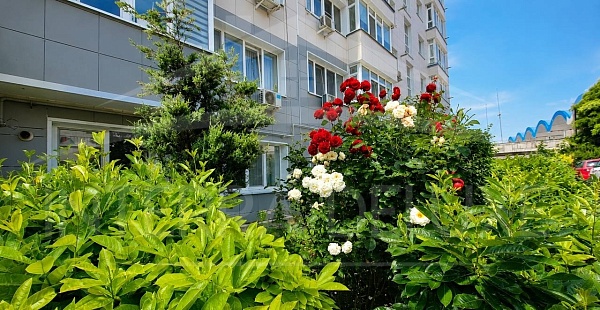 Однокомнатная квартира 33,8 м², Ленинский район, ул. Руднева 15