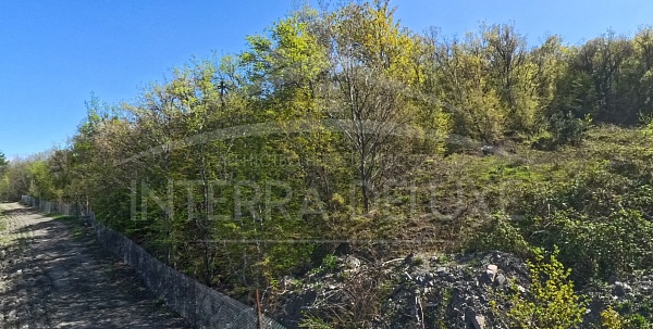 Участок 15 соток в г. Ялта, пгт Виноградное
